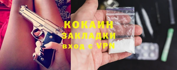 прущие грибы Бородино