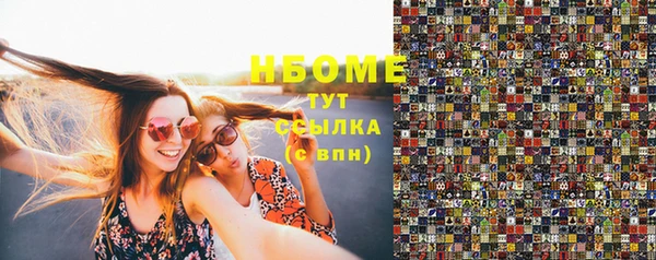 прущие грибы Бородино