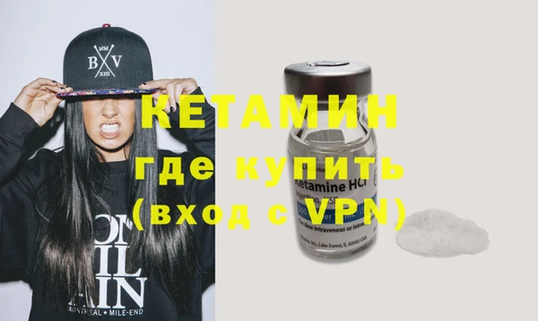прущие грибы Бородино