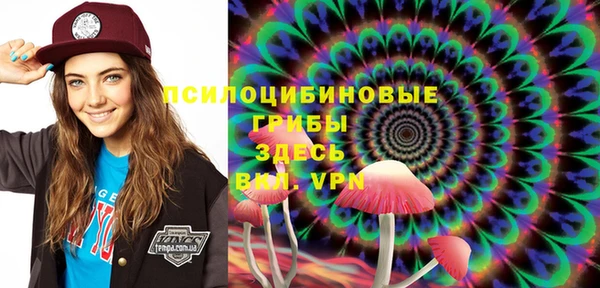 прущие грибы Бородино