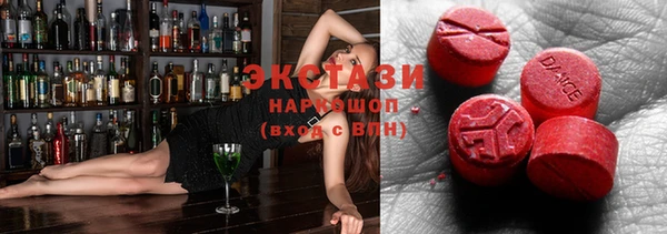прущие грибы Бородино
