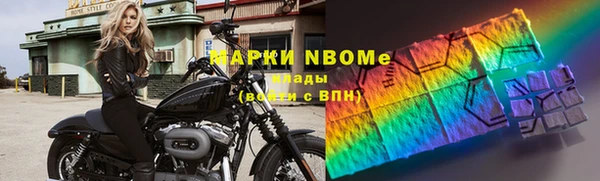 прущие грибы Бородино